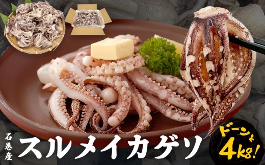 いか 〈 訳あり 〉配送時期指定なし 宮城県産 スルメイカ ゲソ 4kg 冷凍 国産 スルメイカ いか 下足 イカ イカゲソ カルパッチョ おつまみ 魚介類 焼イカ イカ料理 バーベキュー BBQ わけあり 不揃い 烏賊 炒め物 フライ ゲソ天 唐揚げ 石巻 宮城
