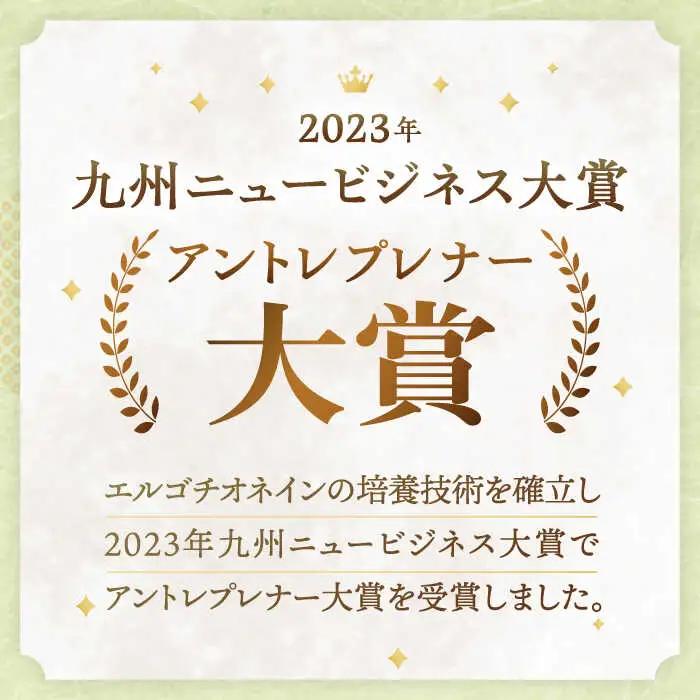 【10回定期便】甘酒 生あまざけファミリーサイズ 550ｇ×6本[OBF020] 甘酒 あまざけ