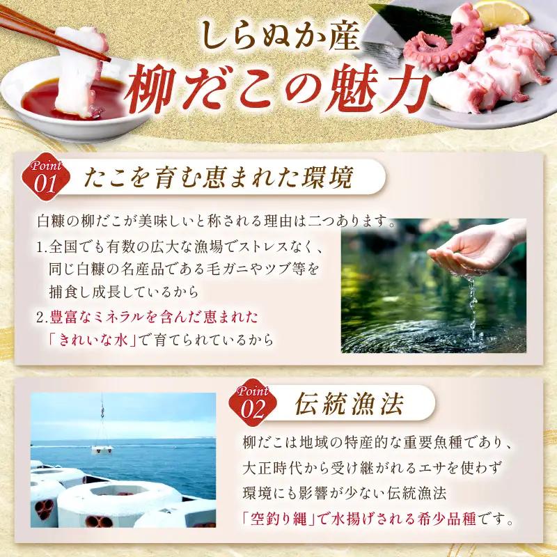 しらぬか産刺身用柳だこ【600g×2個】_I025-0136