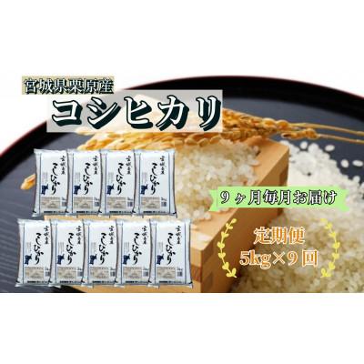 ふるさと納税 栗原市 【毎月定期便】コシヒカリ白米5kg 宮城県栗原産全9回