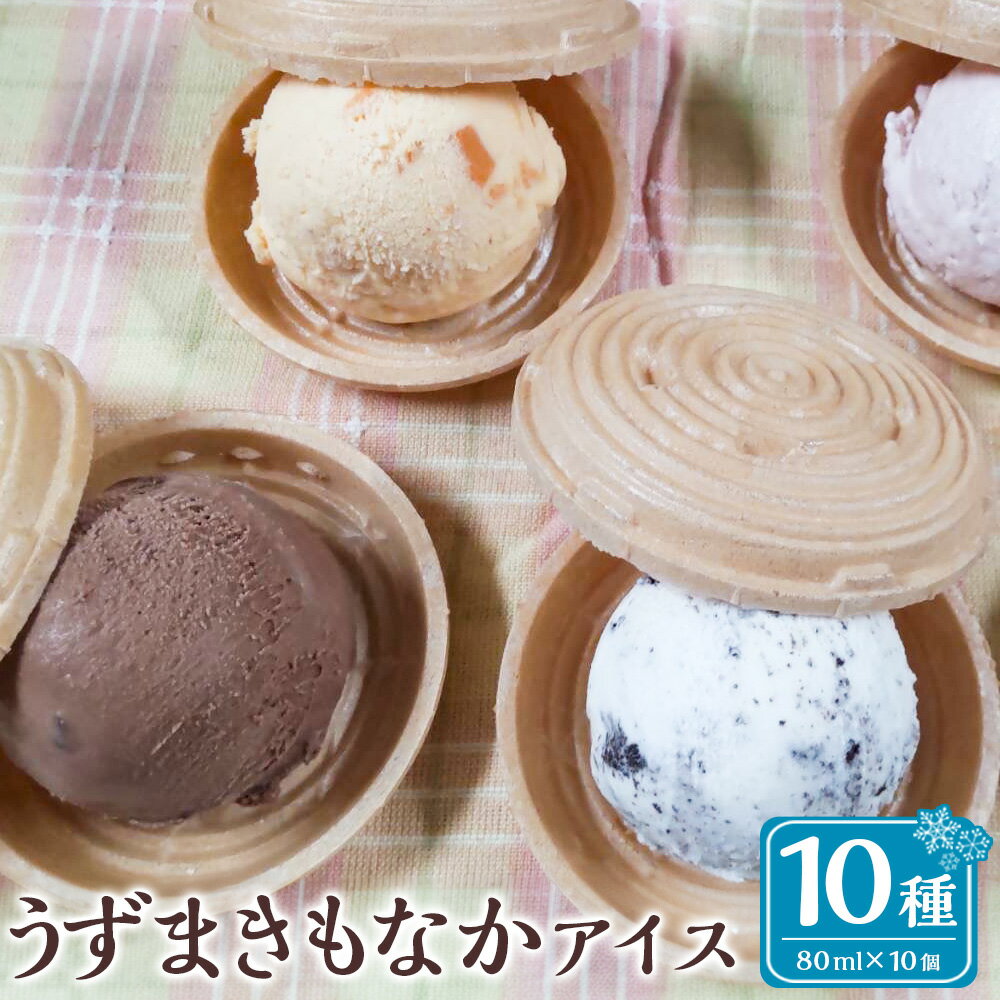 【ふるさと納税】うずまきもなかアイス 10個 最中 アイス ジャージー牛乳 ジェラート チョコ バニラ 枇杷 イチゴ 抹茶 ラムレーズン クッキークリーム ブルーベリー マンゴー パイナップル シャーベット 冷凍 デザート 九州 長崎県 長崎市 送料無料
