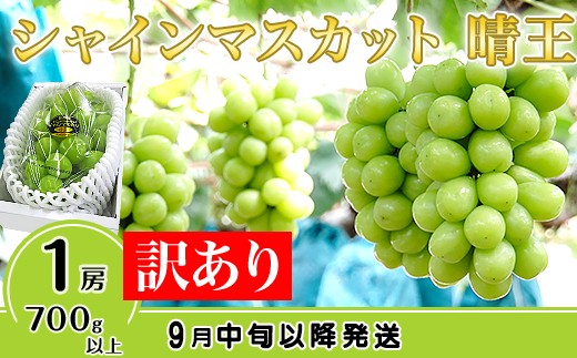
                  【訳あり】シャインマスカット晴王1房【2026年9月中旬～10月下旬発送予定】（いばら愛菜館）
                