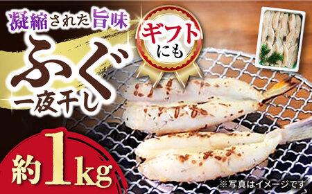ふぐ 一夜干し 約1kg [ACYQ003] 干物 干物 干物 干物 干物 干物 干物