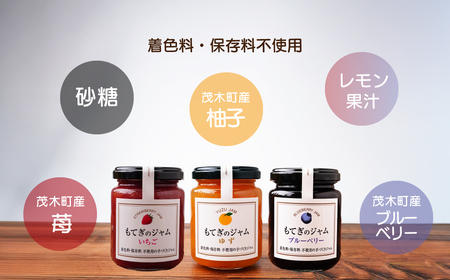 茂木産果実100％使用！ イチゴ＆ブルーベリー＆ゆずジャム 160g×4本 保存料・着色料・香料不使用 | ジャム ジャム ジャム ジャム ジャム