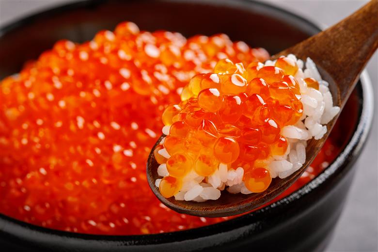 【先行予約】網走産 秋鮭 いくら正油漬け 400g（2025年10月以降発送） ABBI004