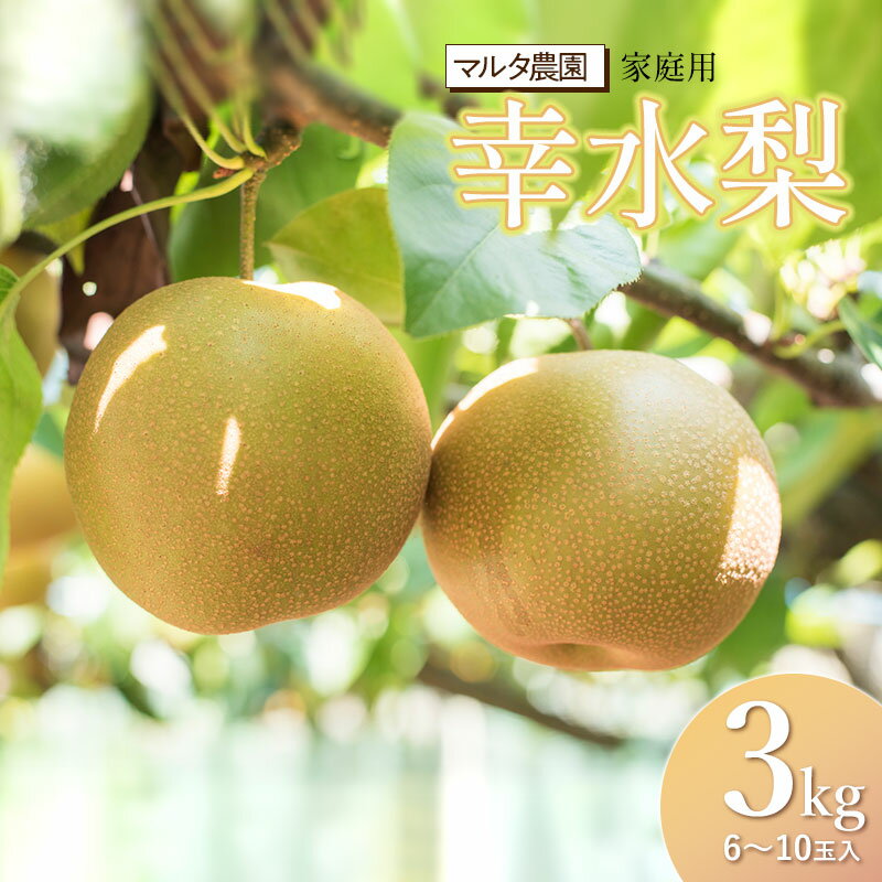 【ふるさと納税】【令和8年産先行予約】 家庭用　幸水梨 3kg（6〜10玉）　マルタ農園