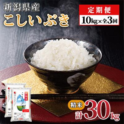ふるさと納税 見附市 【毎月定期便】新潟県産 こしいぶき(精米) 10kg(5kg×2袋)【計30kg】全3回