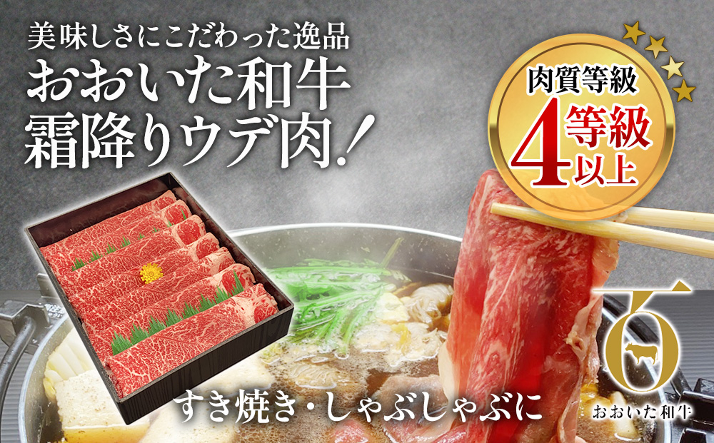 おおいた和牛 すき焼き・しゃぶしゃぶ700g ウデ肉 和牛 豊後牛 国産牛 赤身肉 大分県産 九州産 津久見市 国産【tsu002305】