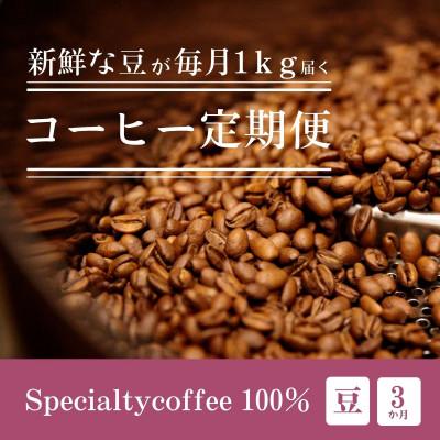 ふるさと納税 豊川市 【毎月定期便】毎月違うコーヒー豆をお届け スペシャルティコーヒー 豆 1kg全3回