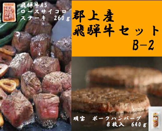 【ふるさと納税】郡上産飛騨牛セットB-2［A5等級］ロースサイコロステーキ260gと明宝ポークハンバーグ8枚 / 食品 精肉 肉加工品 牛肉 その他 20000円