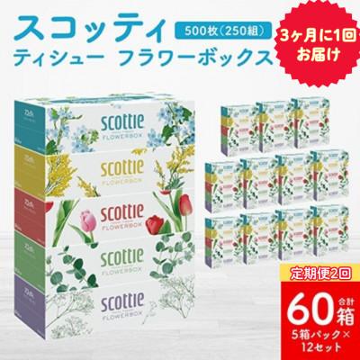 ふるさと納税 八代市 【3ヵ月毎定期便】ティシューフラワーボックス250組5箱パック×12 合計60箱【41365】全2回