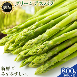 アスパラガス 秀品 アスパラ グリーンアスパラ 2L サイズ 800g (400g×2) 門別町農業協同組合(生活資材課)《4月上旬-5月末頃出荷》北海道 日高町 送料無料 春野菜 春 朝採り 朝採れ お取り寄せ
