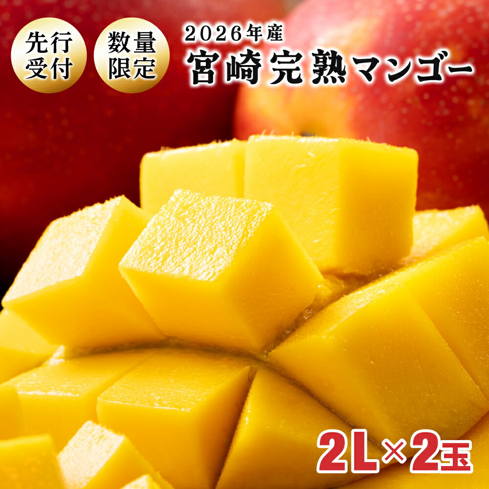 【ふるさと納税】【先行予約】＜数量限定＞宮崎完熟マンゴー 2L×2玉（350g〜449g以上×2玉）宮崎県産 完熟 マンゴー 季節の フルーツ 果物 くだもの まんごー 送料無料【KU019】