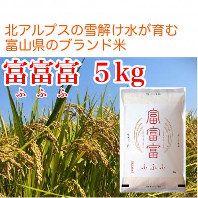 ふるさと納税 魚津市 【毎月定期便】【9ヶ月定期便】富山県産米「富富富」5kg(精米)全9回