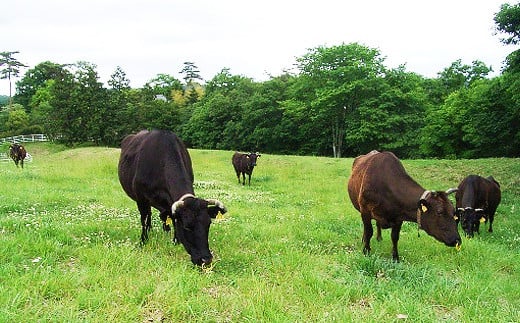 ＜茨城県産常陸牛三昧＞食べ比べセット(茨城県共通返礼品)[ステーキ用：霜降り牛ロース1枚、すきやき・しゃぶしゃぶ用：牛肩ロース400g、切り落とし：牛肩ロース150g]【国産 黒毛和牛 ステーキ すき