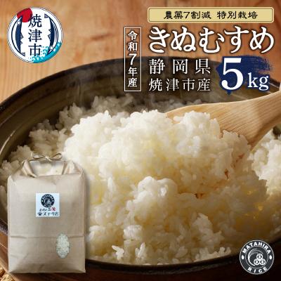 ふるさと納税 焼津市 令和7年産 農薬7割減 特別栽培 きぬむすめ 白米5kg(a13-161)