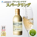 【ふるさと納税】プティモンテリア スパークリング 290ml 6本入 モンデ酒造 缶ワイン 白 果実酒 酒 贈り物 贈答用 ギフト プレゼント 晩酌 宅飲み 家飲み やや辛口 送料無料 山梨県 笛吹市 10000円 無地熨斗 177-4-034