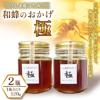 ふるさと納税 対馬市 和蜂のおかげ「極」