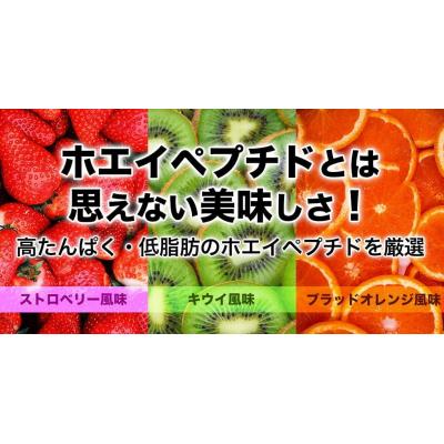ふるさと納税 富士市 MPNサプリメント　ハイドロライズド・ホエイアイソレート(ブラッドオレンジ風味)1kg(2014) |  | 02