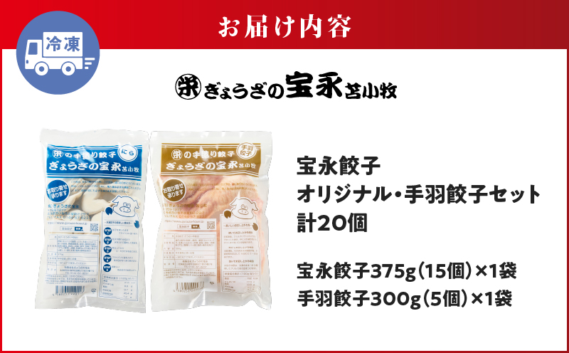 手包み餃子 ぎょうざの宝永 手羽餃子20個セット（宝永餃子15個入×1袋・手羽餃子5個入×1袋）　T004-006-01