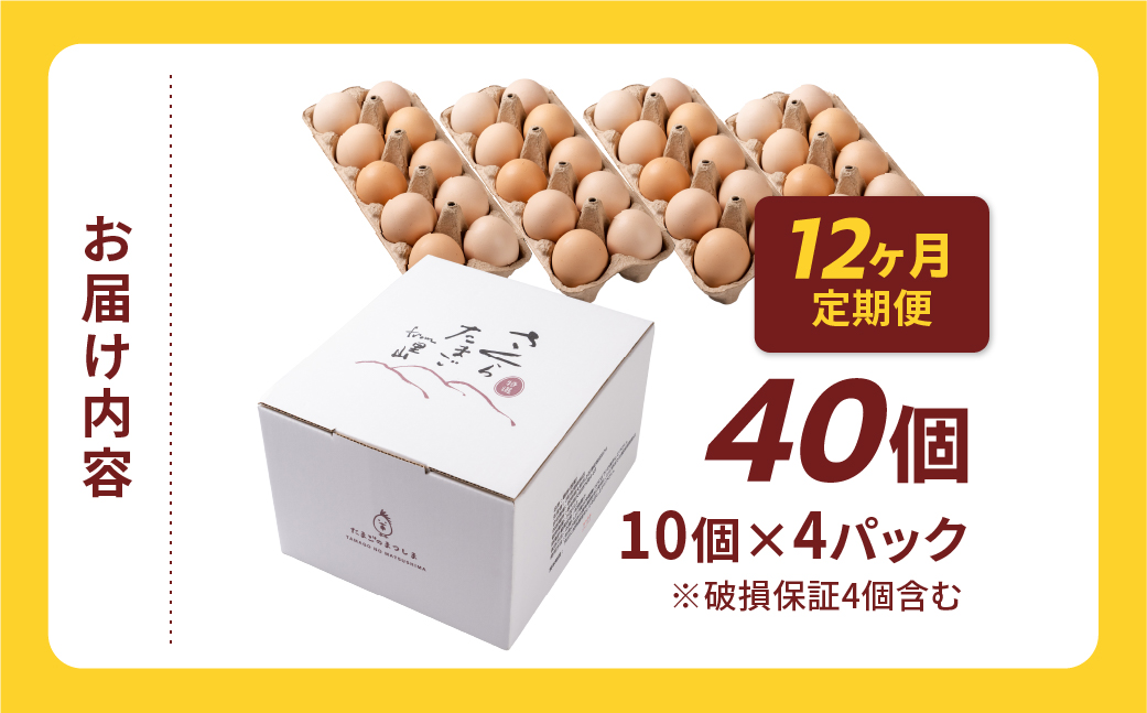 【定期便12ヶ月】40個 新鮮 特選 さくらたまご 定期便 12回 パック数 回数 12ヶ月 1年 新鮮な卵 (発送当日・または前日に採れた卵) 安心 安全 対応 破損 割れ保障 保証付 安心対応 サ