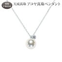 【ふるさと納税】 アコヤ真珠 ペンダント 8.0mm プラチナ 天成真珠 アクセサリー ファッション ジュエリー ネックレス akoya 本真珠 真珠 パール 高級 プレゼント 贈り物 贈答品 贈答用 お祝い 誕生日 成人式 卒業祝 就職祝い 記念日 特産品 国産 愛媛 宇和島 A280-114013