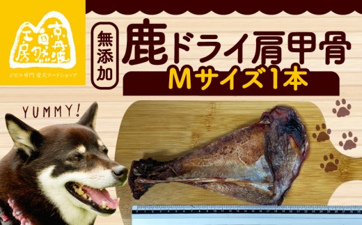 鹿ドライ肩甲骨Mサイズ（20〜22㎝）ペット用品 ペットグッズ ペットフード ドッグフード 無添加 肩甲骨 ボーン 歯 健康 国産 ストレス解消 ジビエ 鹿 鹿肉 わんちゃん ペット用品 犬用 ご褒美 おやつ 超小型犬 大型犬 中型犬 犬 イヌ いぬ 京都府 京丹波町