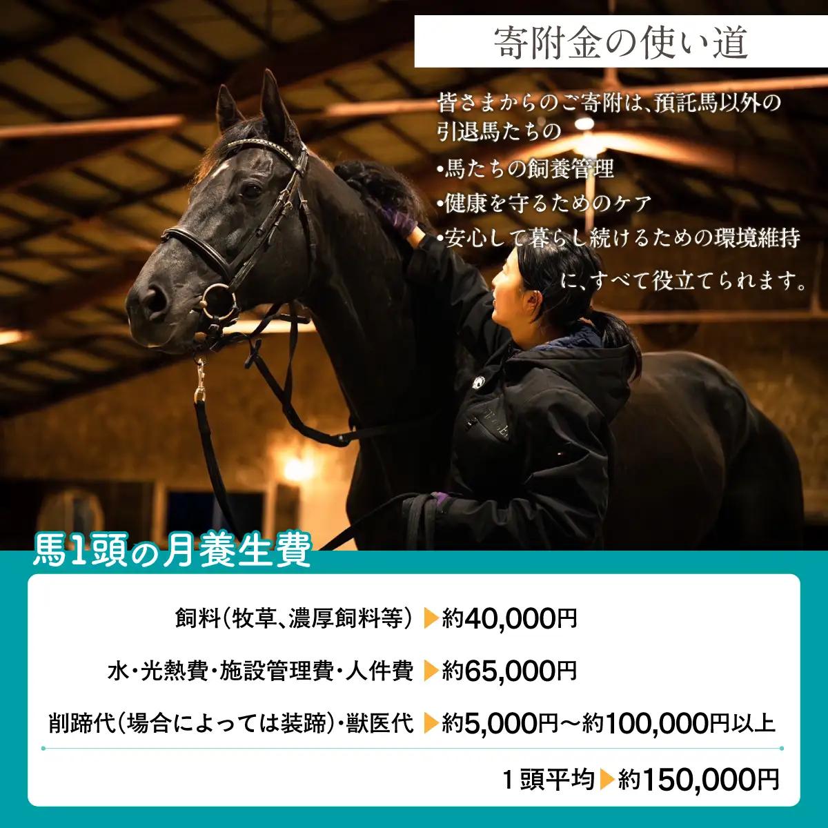 【100万円コース 返礼品無し】より多くの引退馬の幸せな余生を願う　Yogiboヴェルサイユリゾートファーム BRTV024-06