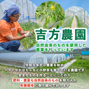 【A7084】北海道士別産 かぼちゃ（計4㎏・2～3玉）【先行予約受付中！9月下旬以降、準備ができ次第順次発送】北海道産 国産 カボチャ 南瓜 野菜 煮物 サラダ 天ぷら 甘い 味覚の秋 【吉方農園】