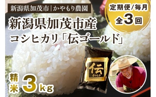 【令和7年産新米】【定期便3回毎月お届け】新潟産コシヒカリ「伝ゴールド」白米真空パック 精米3kg（1.5kg×2）《9月下旬から順次出荷》 南麻布の高級料亭で提供される極上米 かやもり農園