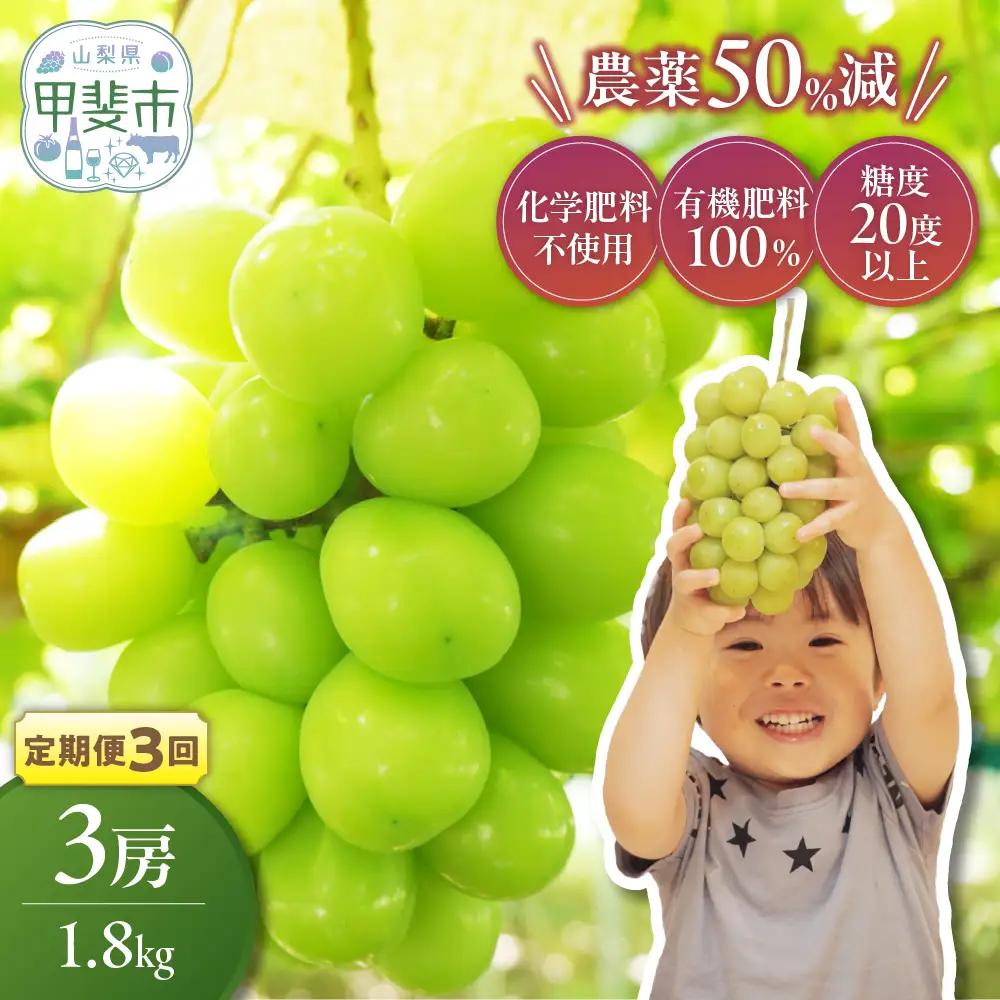 【先行予約】定期便　樹上完熟 シャインマスカット（特別栽培）1.8㎏／3房　3回 山梨シャインマスカット