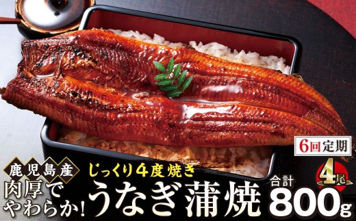 【6回定期】うなぎ 蒲焼 200g×4尾【鹿児島産】地下水で育てた絶品鰻