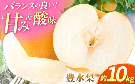 【先行予約】【数量限定】豊水梨　約10kg 【日本フルーツ株式会社】[ZFJ014]