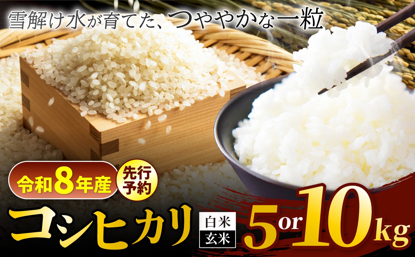
                  【令和8年産先行予約】コシヒカリ 選べる精米方法（白米 / 玄米) ・選べる内容量（5kg / 10kg) 信州安曇野松川村産 松川村認定農業者 北アルプス 雪解け水 | 米 こめ コメ お米 白米 玄米 コシヒカリ ライス 長野県 松川村 信州 送料無料 国産米 産地直送 農家直送 新米対応
                