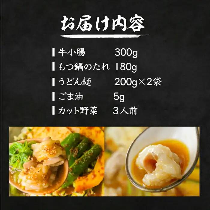 【全国放送】元祖味噌もつ鍋 平壌屋おすすめ 2-3人用 セット 野菜+うどん VAH056 国産牛 もつ