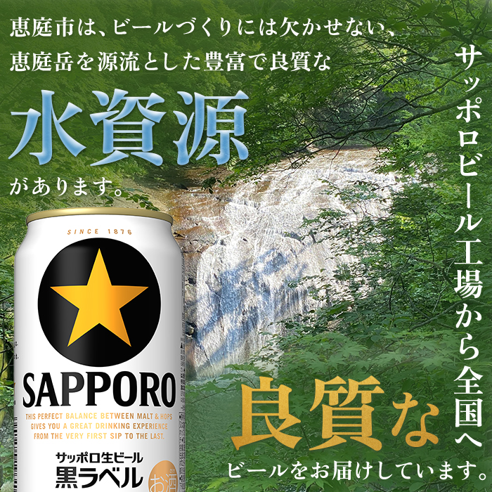 【期間限定】サッポロ　黒ラベル　48本（350ml×24本×2箱）【30017502】