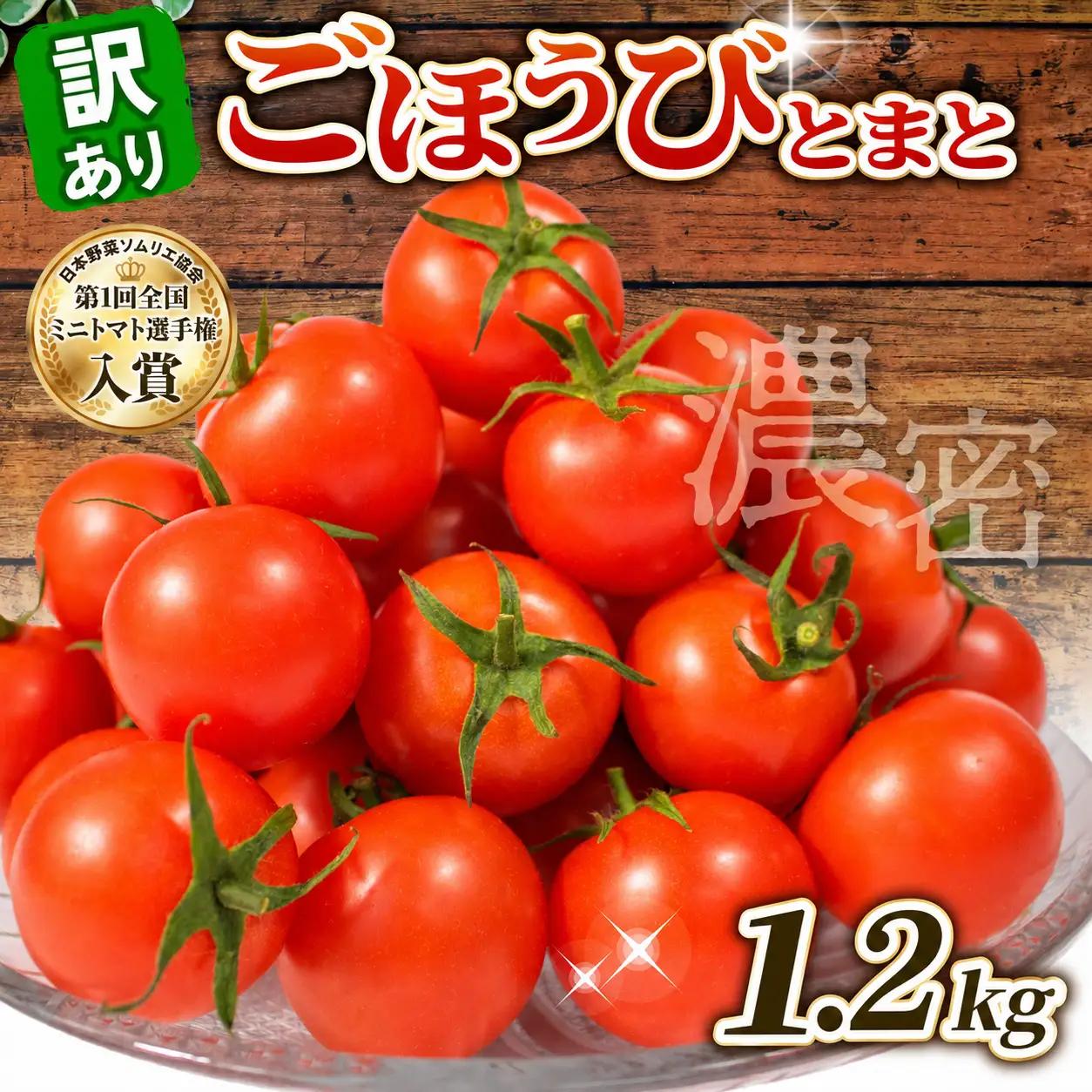先行予約 訳あり トマト ごほうびとまと 1.2kg トマト