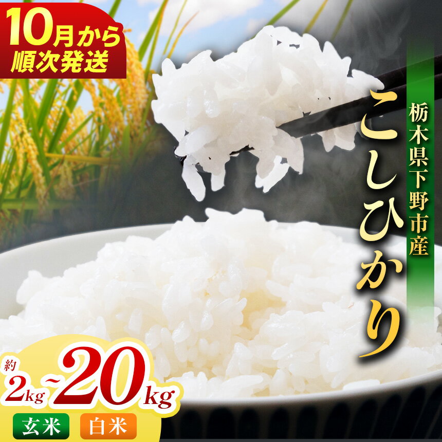 【ふるさと納税】【先行予約】【2026年10月以降発送】米 お米 下野市産 コシヒカリ 新米 2~20kg 選べる内容量 玄米 白米 | こめ コメ 白米 精米 こしひかり コシヒカリ 新米 栃木米 令和8年度米 令和8年 2026年度 ブランド米 栃木県 特産品 送料無料 栃木県 下野市