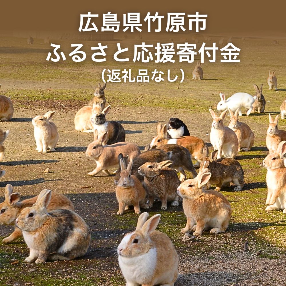 【ふるさと納税】【返礼品なし】広島県 竹原市 ふるさと応援寄附金 ＜ご寄附のみとなります ＞ | ワンストップ特例制度 オンライン 竹原 たけはら