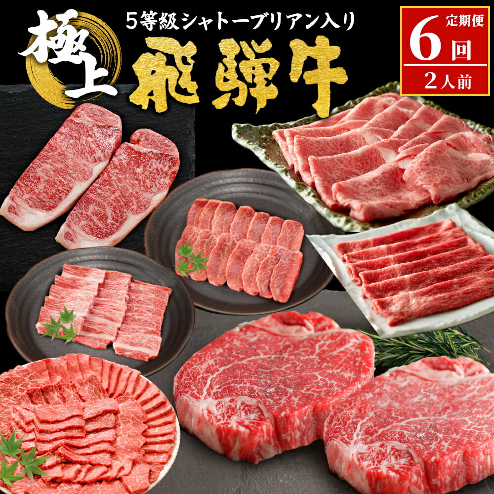 【ふるさと納税】 5等級シャトーブリアン入り 飛騨牛極上6回定期便 すき焼き しゃぶしゃぶ ステーキ 焼肉 BBQ モモ カタ ロース 肩ロース カタロース カルビ シャトーブリアン 希少部位 贅沢 6ヶ月 定期 定期便 飛騨 飛騨牛 牛 肉 和牛 黒毛和牛 ブランド牛 養老ミート