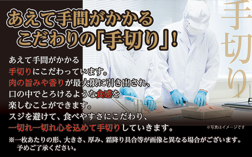 【定期便６回】佐賀牛 ヒレステーキ 300g×6回 偶数月発送 年6回 黒毛和牛 _g-9