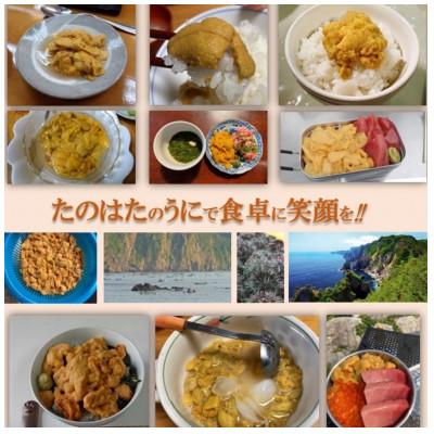 ふるさと納税 田野畑村 【予約・7月中旬発送】岩手・三陸　小さな村のきれいな海で育った　瓶入り　濃厚生うに(160g) |  | 01
