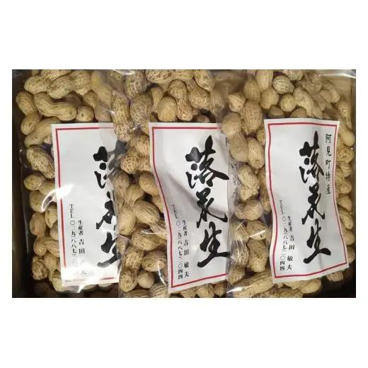 茨城県阿見町産 落花生 中手豊 300ｇ×3袋入り【ピーナッツ おつまみ 殻付き 国産 阿見町 茨城県】（04-27）