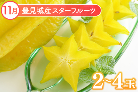 【2024年発送】沖縄フルーツ定期便（9・10・11月コース）