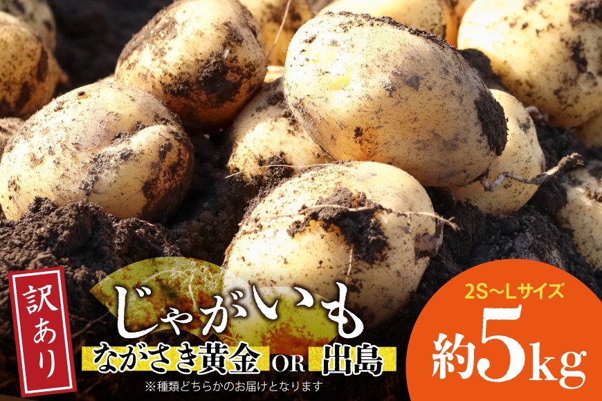 
                  BH050 じゃがいも 訳あり ながさき黄金 出島 約5kg [ 野菜 訳アリ 芋 ジャガイモ 5キロ ほくほく 先行予約 常備野菜 国産 贅沢宝庫 長崎県 島原市 ]
                