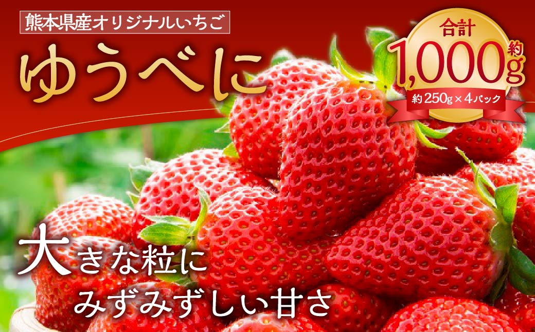 
ゆうべに ( いちご ) 250g × 4パック 合計 1kg 【2025年2月上旬発送開始】
