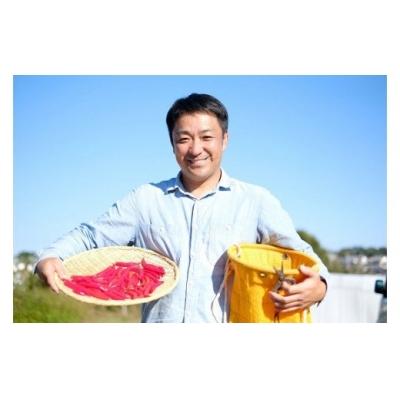 ふるさと納税 熊野市 【テレビで紹介されました】熊野唐辛子ギフト7(一味唐辛子(ハバネロ)2本+生唐辛子) |  | 02