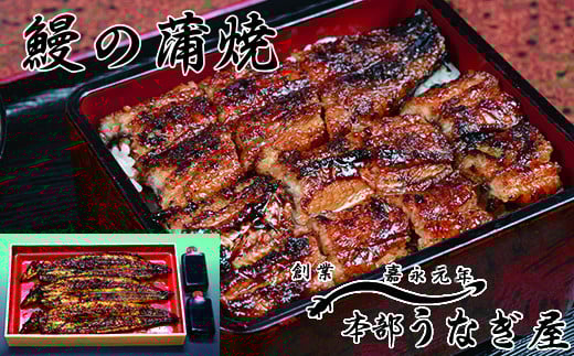 老舗「本部うなぎ屋」鰻の蒲焼3尾 国産うなぎ<4.6-1>