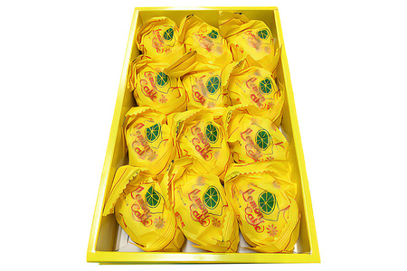 レモンケーキ（12個入） [KANRAブランド認定商品] ｜ 焼菓子 お茶菓子 スイーツ 銘菓 スポンジ チョコレート お取り寄せスイーツ お土産 ギフト こまつや [0137]