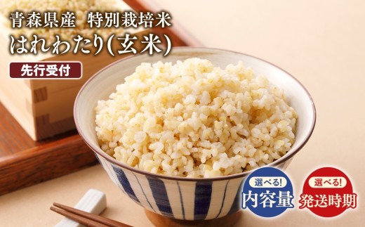 
                  ≪選べる内容量／配送月≫　特別栽培米 はれわたり玄米5kg 10kg 30kg　
                